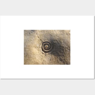 Fossil of a Spiral Shell in Stone Posters and Art